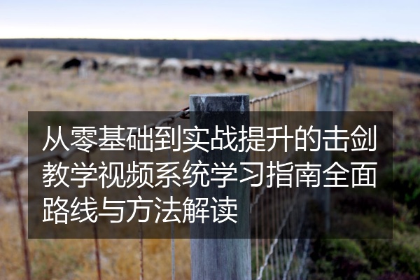 从零基础到实战提升的击剑教学视频系统学习指南全面路线与方法解读